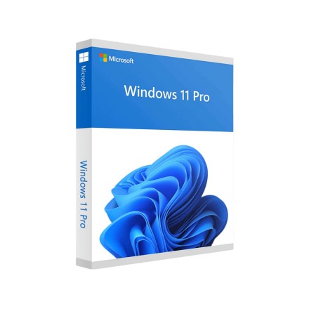 Instalación y licencia de Windows 11 Pro 64 bits