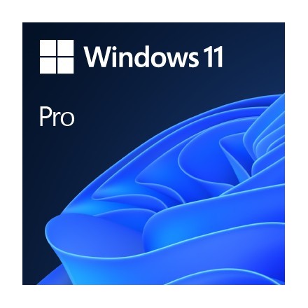 Microsoft Windows 11 Pro Producto empaquetado completo (FPP, full packaged product) 1 licencia(s)