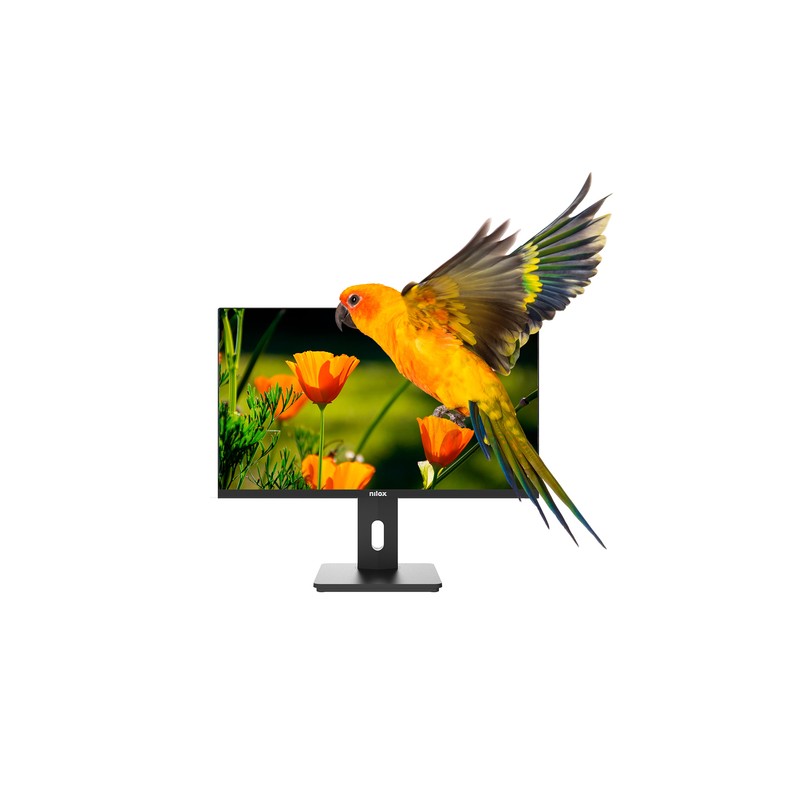 Monitor 24" Displayport Hdmi Vga Nilox Nxm24reg02 Fhd 1920x1080 4ms 75hz 300cd/m2 Vesa 100x100