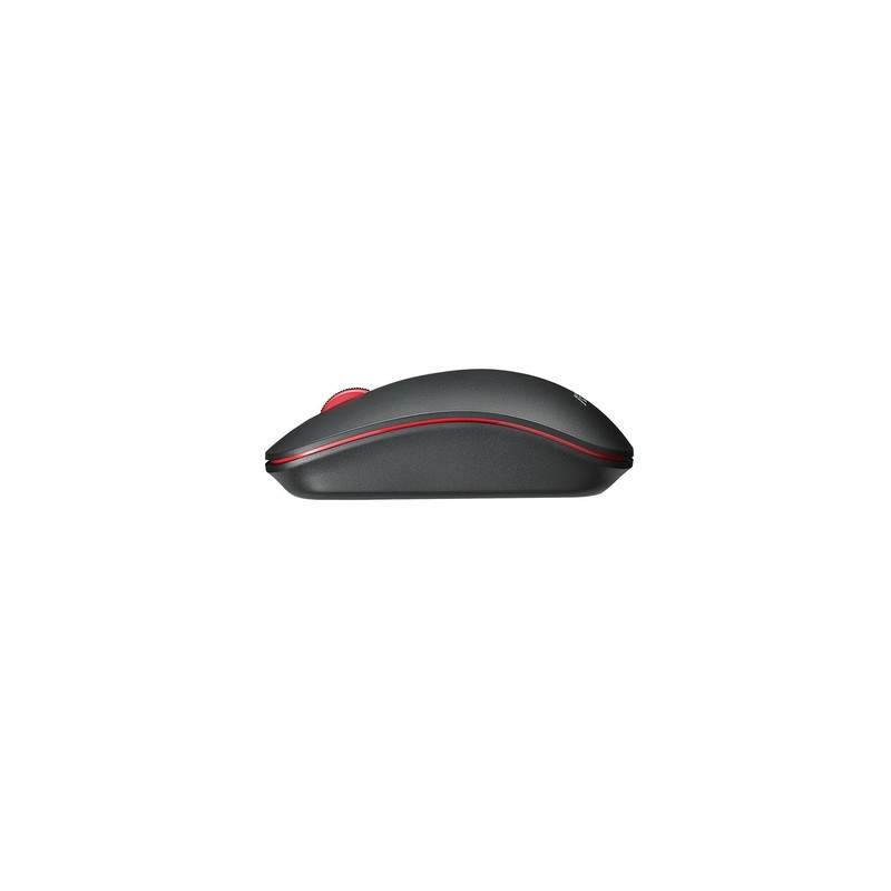 RATON ASUS WT300 WIRELESS BLACK