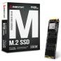 DISCO M.2 NVME 128GB BIOSTAR M700 SS263PME31 2280 READ 1850MB/s WRITE 950MB/s